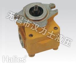 Hydraulic Gear Pump E320/AP-12