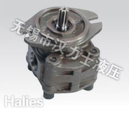 Hydraulic Gear Pump EX200/300